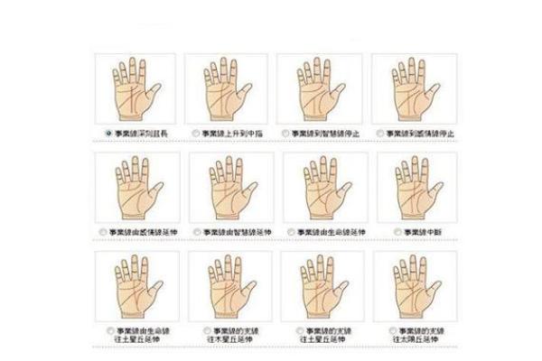 女生算命看左手吗