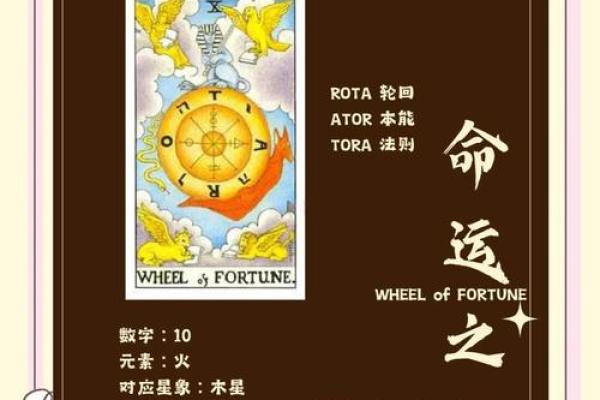 精准塔罗测试 将来的事业运势怎么样
