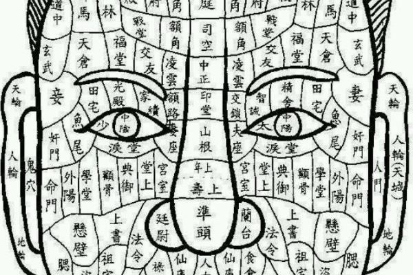 看相算命图解