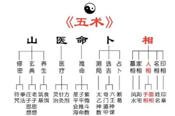 自己怎么学算命