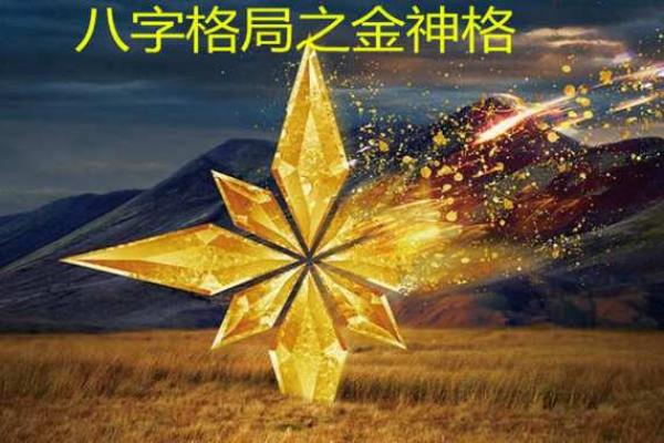 金神八字