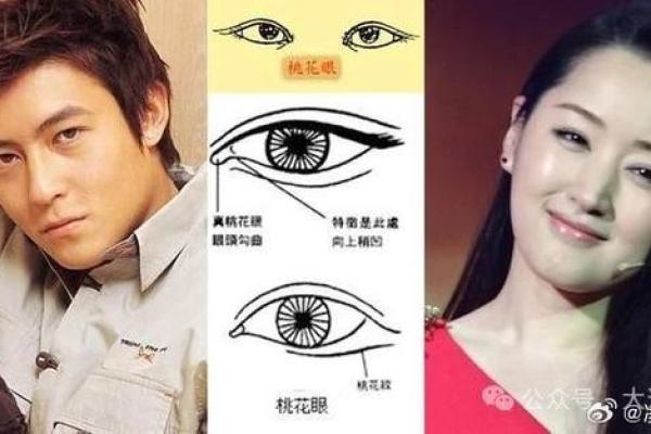 风水角度：柳叶眉女生的面相解释