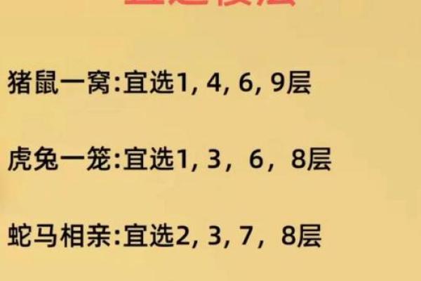 属鼠人风水吉凶方位，如何开运