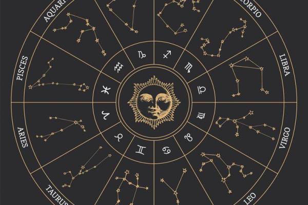 紫薇星是什么