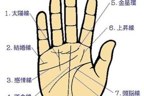 手型算命：金型手人的性格与命运