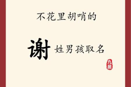 2019年6月20号子时出生的男孩起名时要注意什么姓名