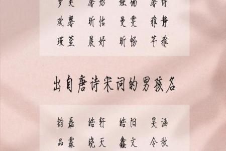 2019年5月29号子时出生的男孩起名方法姓名
