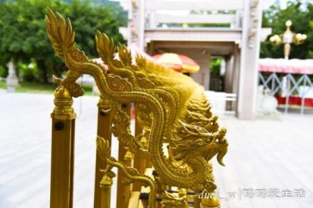 漳州平和算命准吗