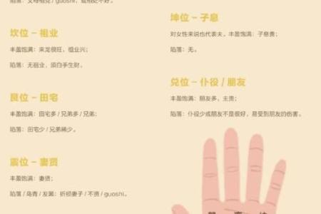 看相算命图解