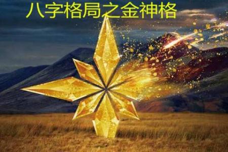 金神八字