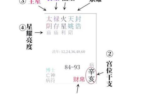 如何解读紫薇斗数