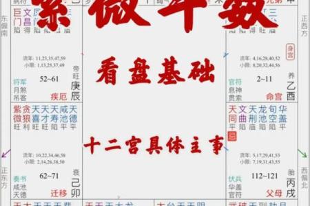 紫薇斗数格局大全