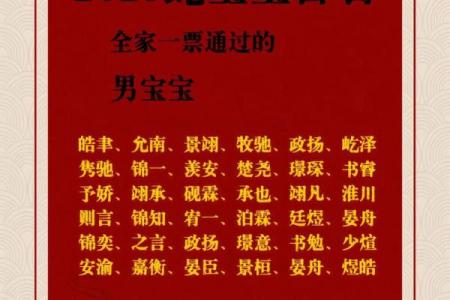 6月份出生的属蛇男孩应该取什么名字姓名