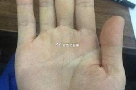 手型算命：金型手人的性格与命运