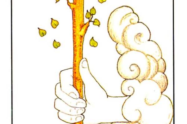 塔罗测试：你适合当领导吗？