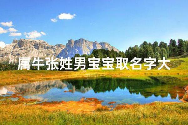 傍晚出生的属牛男孩如何起名姓名