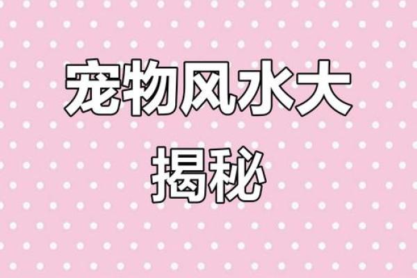 养宠物也是要讲究风水的