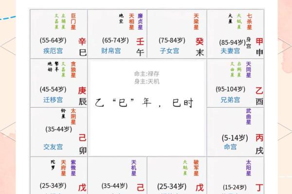 雪天紫薇斗数排盘软件