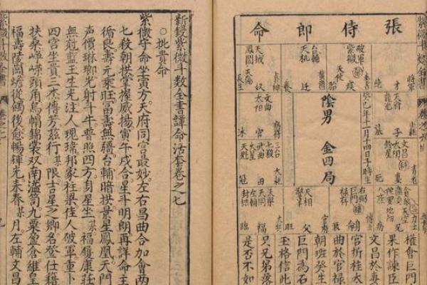 紫薇斗数羊陀