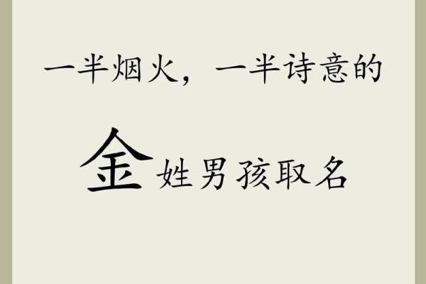 2019年3月28号亥时出生的男孩如何起名姓名