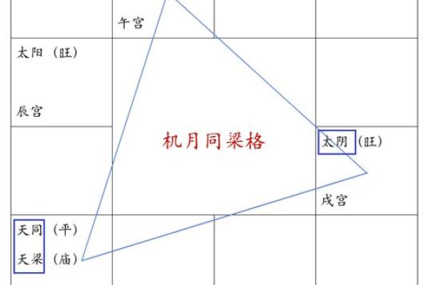 紫薇斗数内局