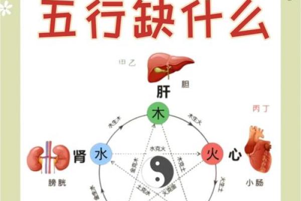 八字缺金缺土