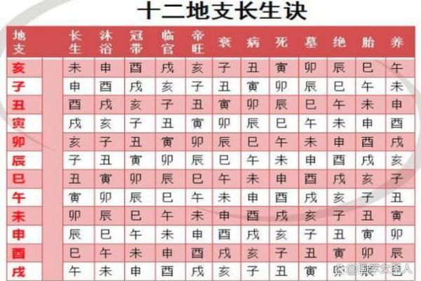 易学八字