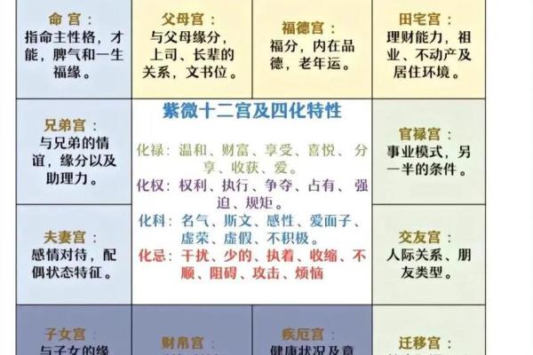 属于紫薇斗数