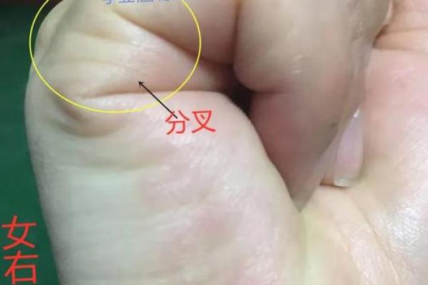 五指长短算命