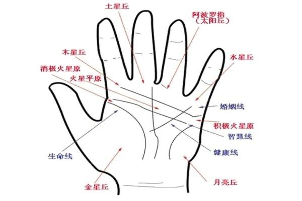 男手痣相图解算命