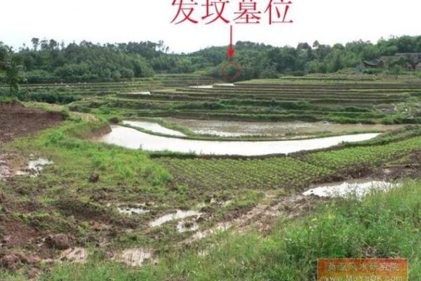 梦见祖改风水