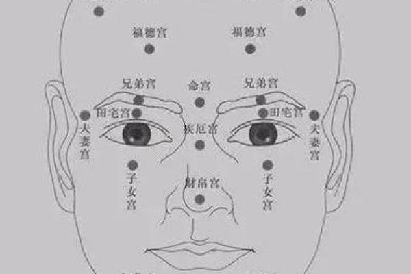 紫薇斗数科名星