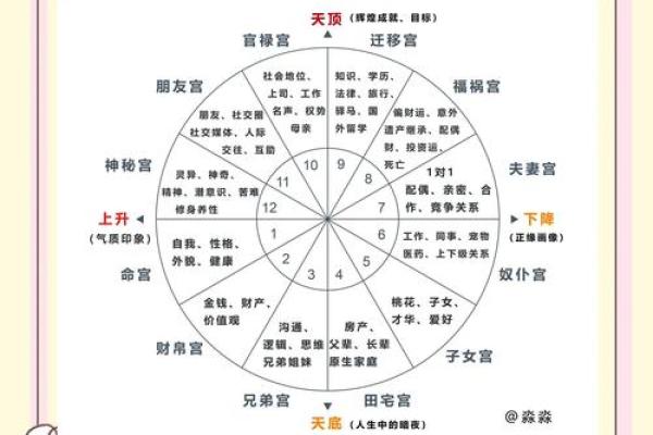 免费星盘在线测算 免费个人星盘在线星盘