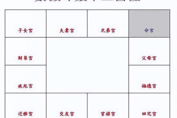 紫薇斗数盘