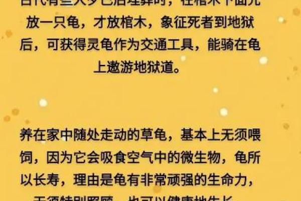 风水上养龟为什么不能养双,有这说法吗-