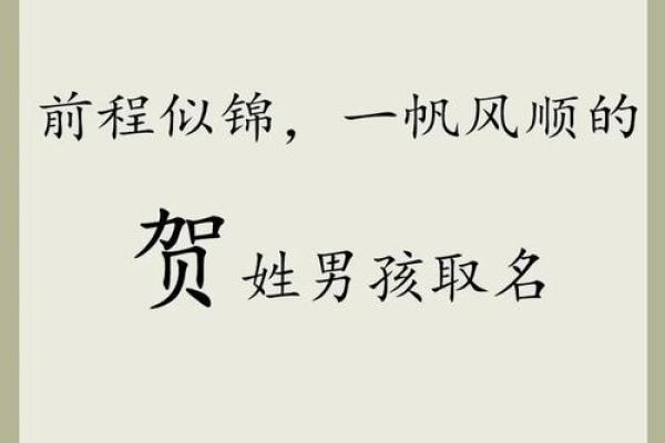 中午1点出生的属虎男孩如何起名，适合什么字姓名