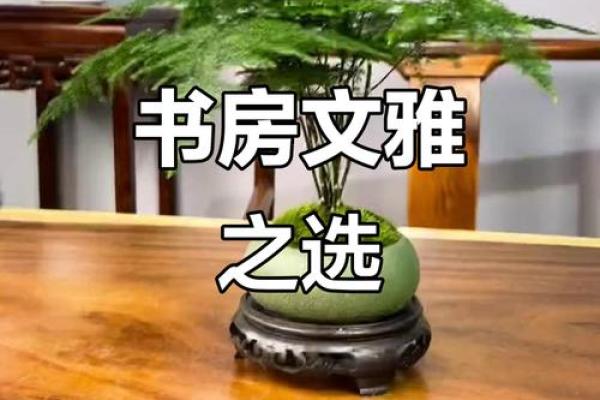 改善书房风水的好方法，助你学业、事业步步高升 ！