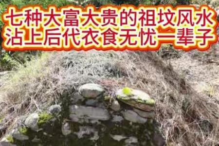 风水千万不要让孙子去上坟四种人不宜扫