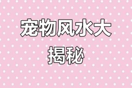 养宠物也是要讲究风水的