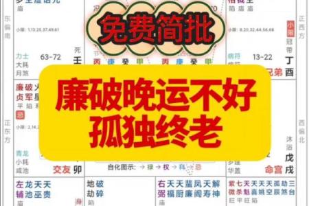 雪天紫薇斗数排盘软件