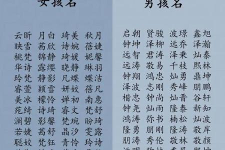 2019年3月28号亥时出生的男孩如何起名姓名