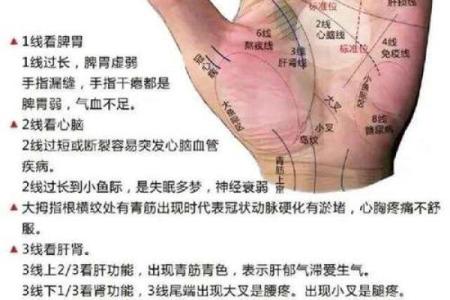 五指长短算命