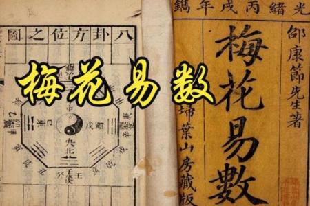 怎么看梅花易数排盘