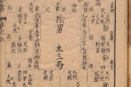 紫薇斗数看谁书籍