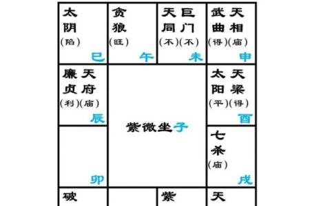 军师府紫薇斗数高级