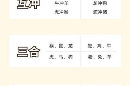 属猪和属鼠的八字合吗