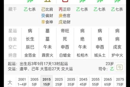 八字算命软件下载