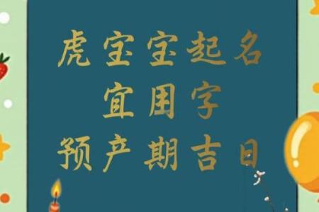 10月份出生的属虎男孩该怎么取名字姓名