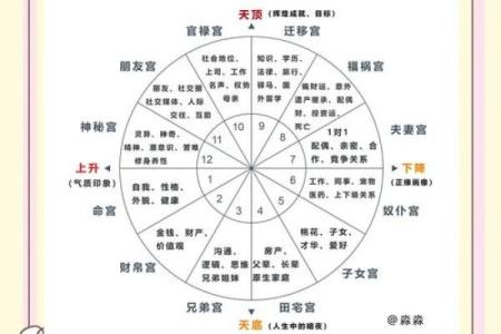 免费星盘在线测算 免费个人星盘在线星盘