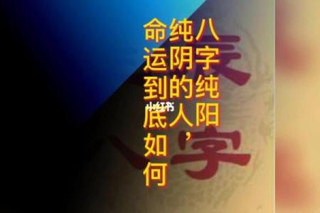 什么是八字纯阴